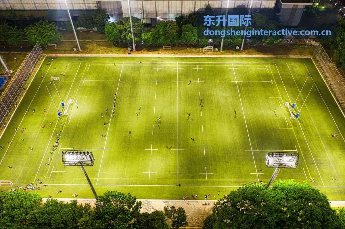 东升国际全球贸易网络覆盖示意图